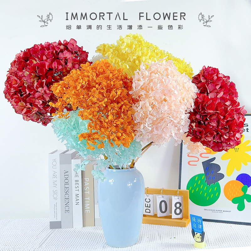 干花永生花天然真花安娜绣球花束高级感家居摆件客厅卧室餐桌插花