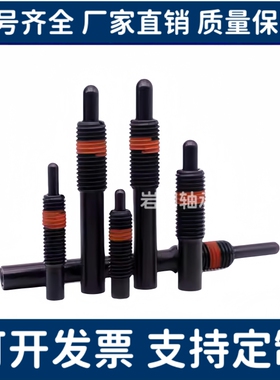 轻载型弹簧柱塞 PJL3/4/5/6/8/10/12-1.5/2/3/4/5/10/15/20