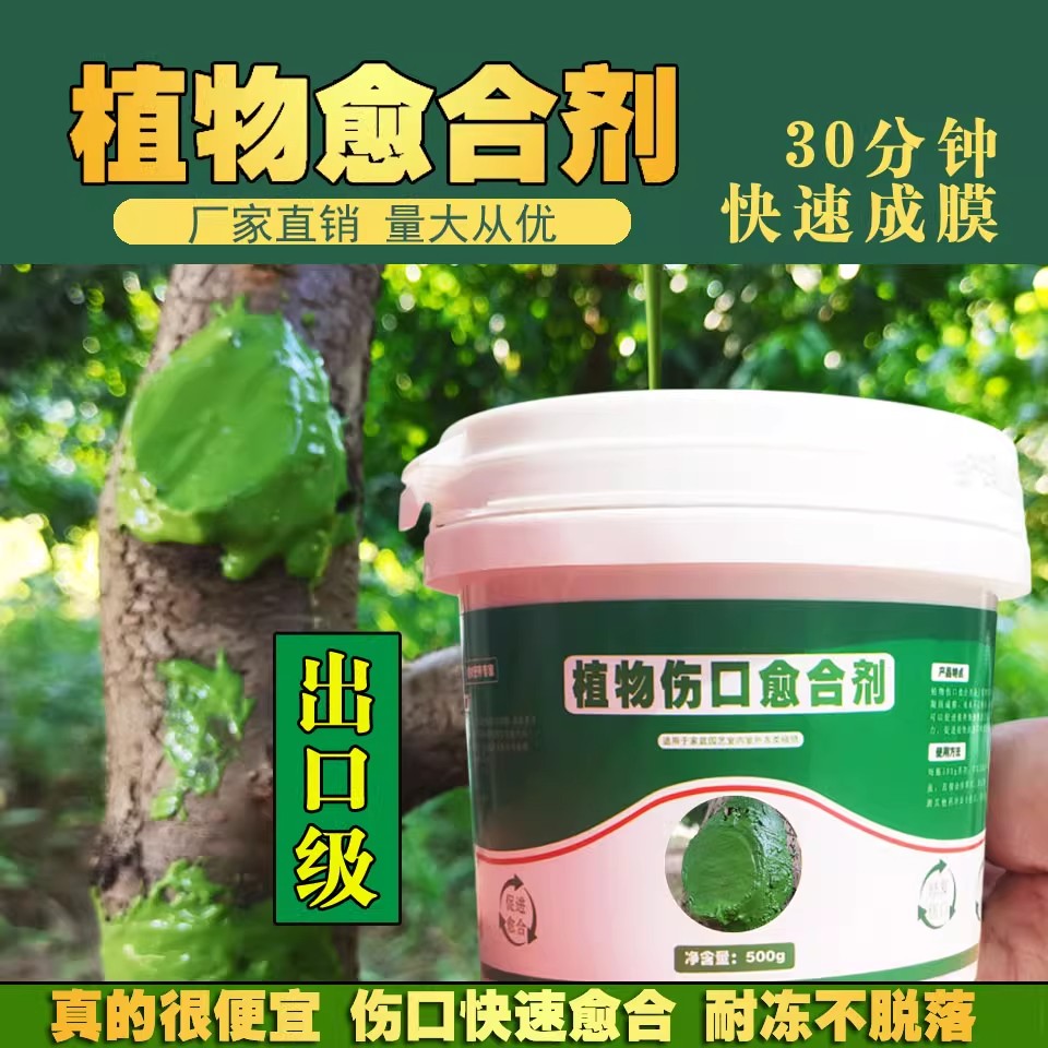 植物伤口创伤愈合剂涂抹膏