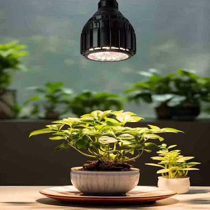全光谱植物灯绿植补光灯天南星科花烛仿太阳灯泡多肉块根生长射灯