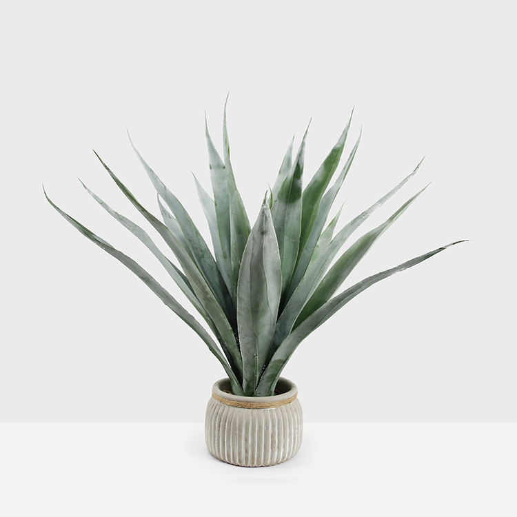 仿真剑麻仿真植物盆栽家居装修发毛剑兰摆件欧式仿真绿植一件代发