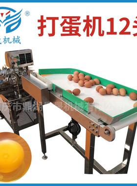 工厂  面包房设备打蛋机打蛋机12头蛋壳分离器食品制作设备