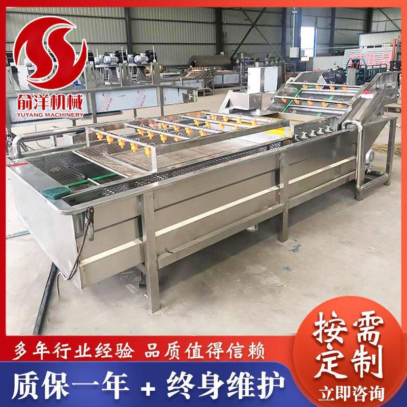 小龙虾压喷淋气泡清洗机 食堂净菜加工设备 全自动果蔬清洗机