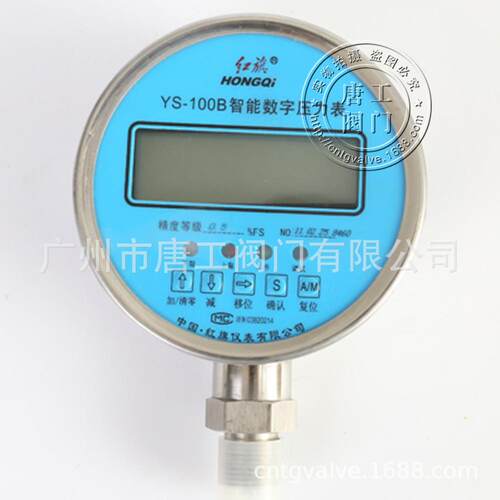 厂家直供YS-100B数字压力表 中国红旗YS型数字压力表 数显压力表