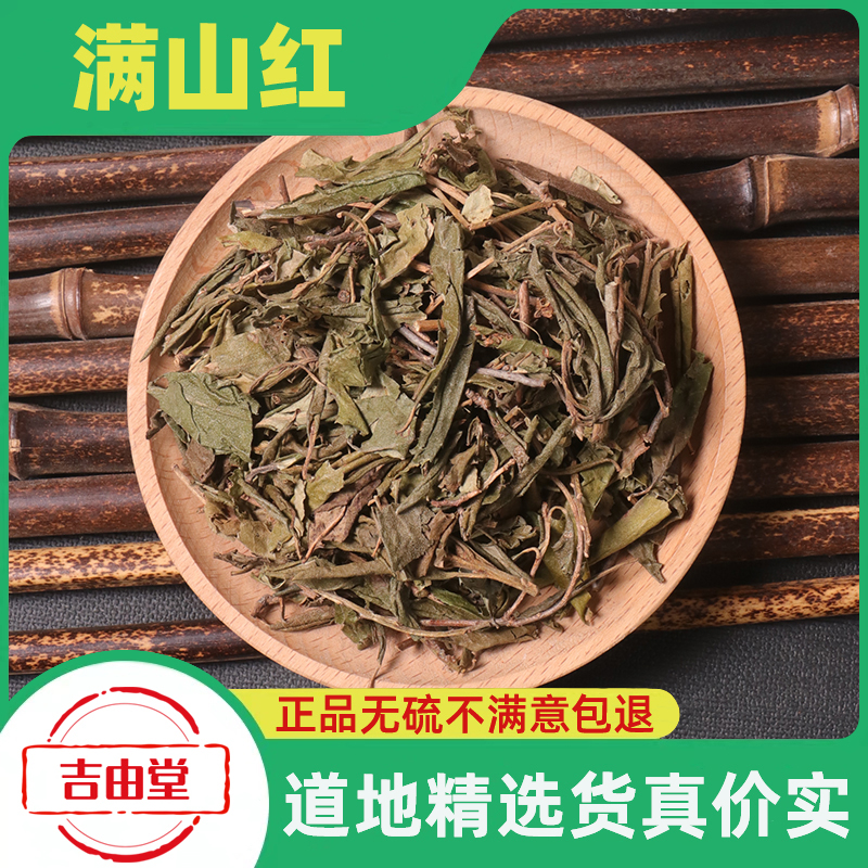 满山红中药材 映山红迎山红山崩子靠山红达子香金达来东北满山红