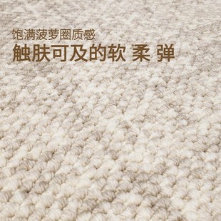 满铺大地垫 大宅标配客厅羊毛地毯侘寂沙发毯轻奢高级耐脏加厚新款