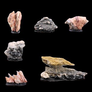 新疆戈壁石天然风凌石风砺石太湖石 鱼缸石头造景石假山菖蒲盆景