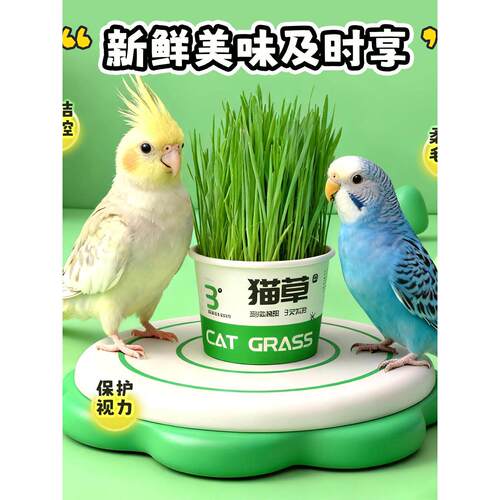 鹦鹉麦芽草粮大麦种子鹦鹉啃咬饲料鸟草盒零食促进消化解闷啄毛