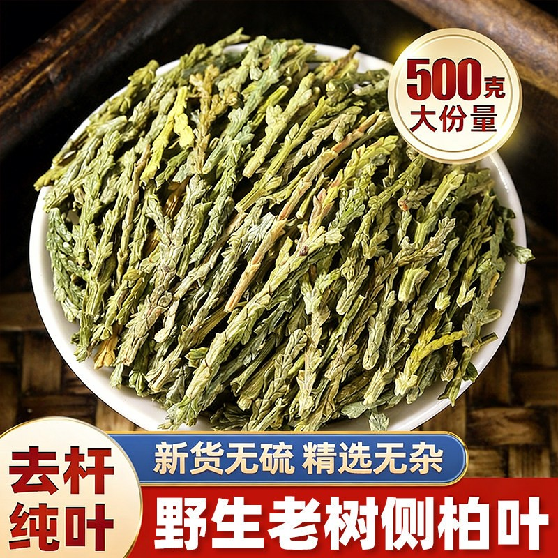 正品中药材侧柏叶500g克新鲜晒干泡酒可洗头丛柏叶另有桑叶何首乌