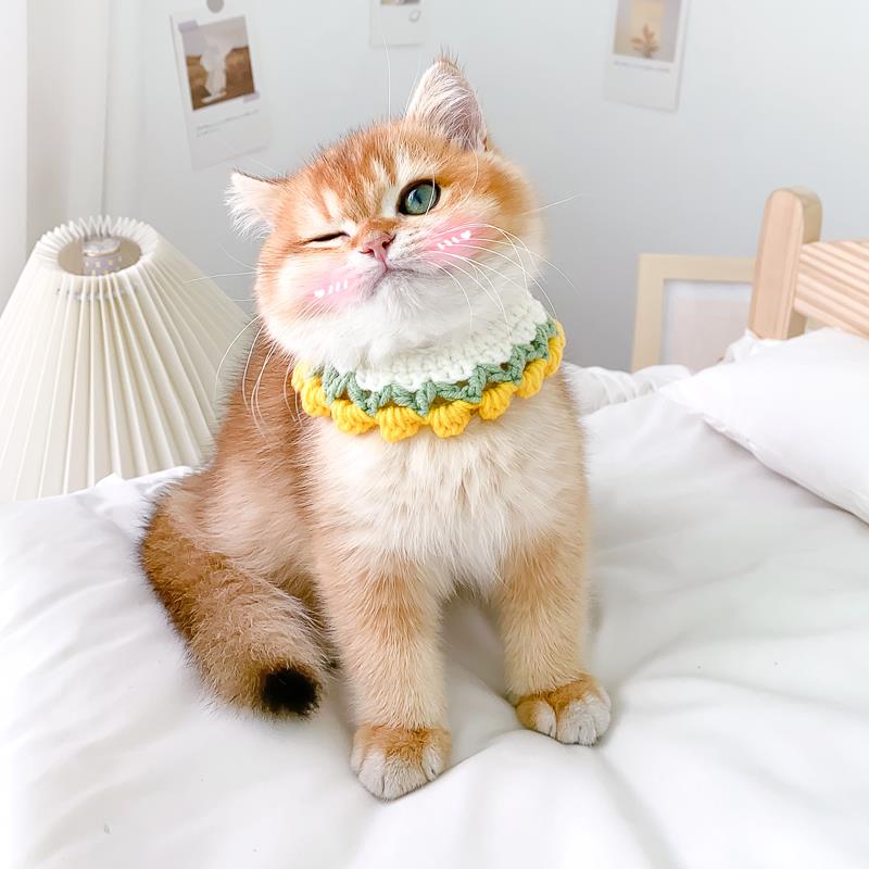 猫咪项圈手工编织可爱猫咪脖圈猫猫小猫针织围脖宠物饰品狗狗脖套