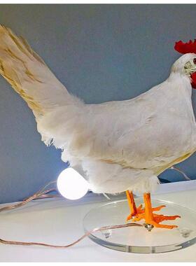 新款 复活节白色公鸡灯仿真鸡装饰品摆件树脂设计台灯灯泡