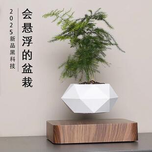 反重力磁浮花盆办公桌摆件情绪稳定植物家居轻奢客厅玄关装饰品