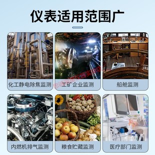 20N 智能氮气检测仪高精度工矿化工气体氮含量浓度纯度分析仪ZY