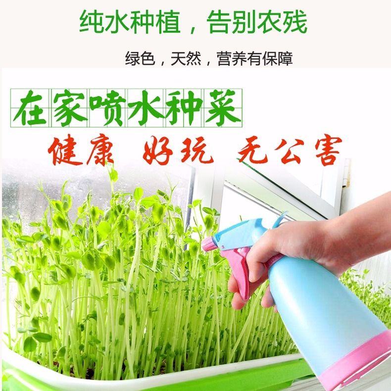 豆苗芽苗菜育苗盘豆芽发芽盆无土栽培设备水培蔬菜种植神器小麦籽
