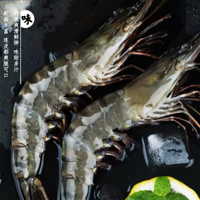 东山岛活冻黑虎虾3040规格 500g/盒 包冰锁鲜发货