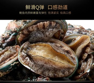 【团长专享】福建东山岛活冻鲍鱼10头鲍   冷冻鲍鱼
