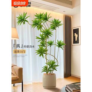 百合竹彷真绿植盆栽大型室内装饰花客厅摆件落地树高级彷生假植物