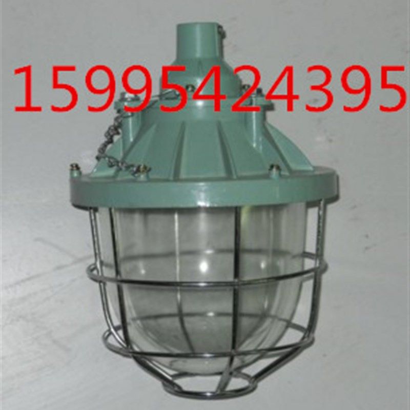 bcd防爆灯厂房车间仓库LED防爆灯具100w200w250w400w隔爆防潮灯罩