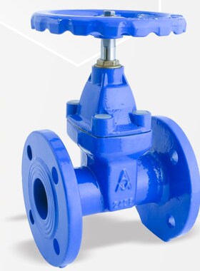 弹性密封暗杆闸阀9173埃美柯法兰连接球墨铸铁材质Z45X-16Q