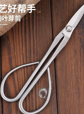 加厚叶芽剪刀全不锈钢园艺剪嫩芽修枝小枝切剪盆景长杆剪刀