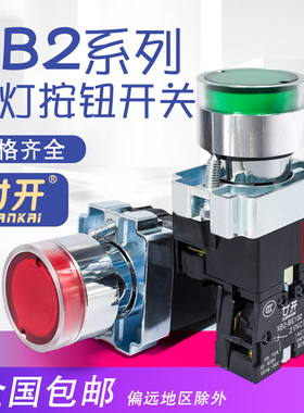 带灯平头按钮开关 XB2-BW31M1C AC220V ZB2-BE101C 一常开 一常闭