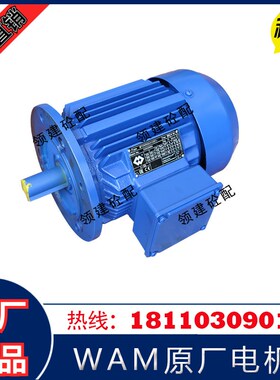 意大利WAM威埃姆电机螺旋机3KW~22KW高精度三相异步MT电机马达