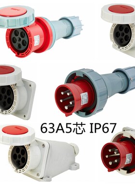 WEIPU 威浦工业插头插座 TYP675 2924 3924 6924 575 63A5芯 IP67