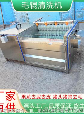 海产品扇贝牡蛎去泥机山芋头花生 洗泥DIT设去皮备 药去泥毛辊清