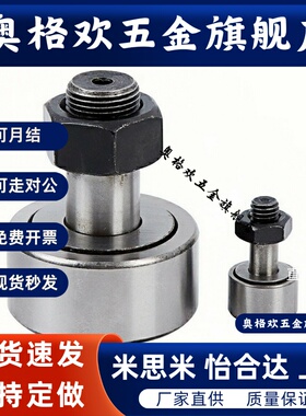 BPF21/22-d3-d4-d5-d6-d8-d10-d12-d20-d24-d30-PP凸轮轴承随动器