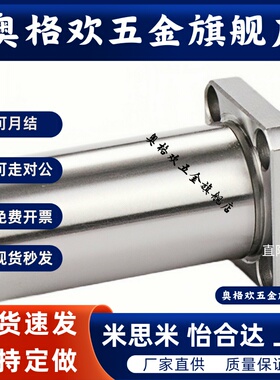 C-LHFSM LHFSWM6 8 10 12 13 16 20 25 30直线轴承