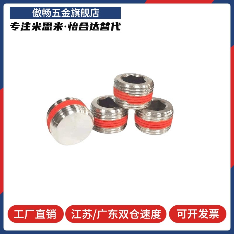 不锈钢带密封涂层型锥型沉头螺塞 堵头 MSWTSK J S 1 2 3 4 6 8