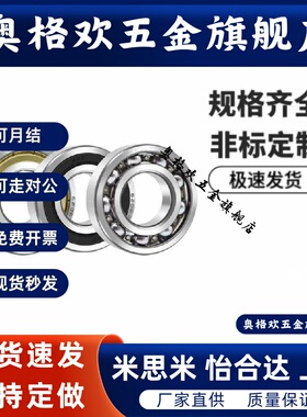 SB6000/6001/6002/6003/6004/6005/6006/6008/6010ZZ深沟滚珠轴承