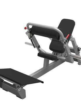 英吉多RELAX 综合训练器PL1015商用健身房臀部训练器