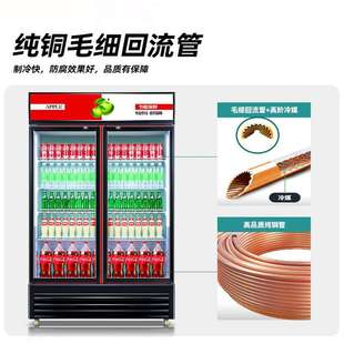 啤酒柜冷藏展示柜立式 饮料 商用冰箱单门保鲜柜饭店超市冷柜双门