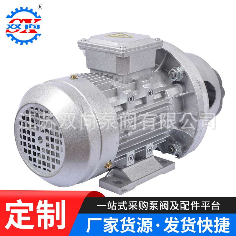 CB-B型立卧式齿轮油泵电机组 低压管道电机组大流量高压输油油泵