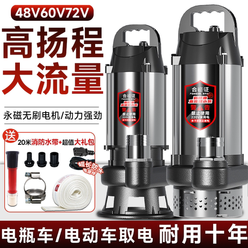 永磁全铜无刷直流48V60V72潜水泵