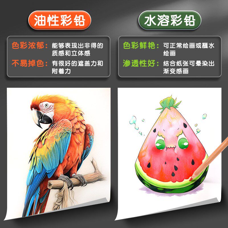 马雷诺阿色油性彩铅色色绘画彩铅笔手绘色色马水溶性彩色铅笔