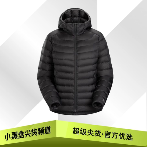 ARCTERYX始祖鸟 Cerium Hoody 保暖羽绒衣 女款 29625