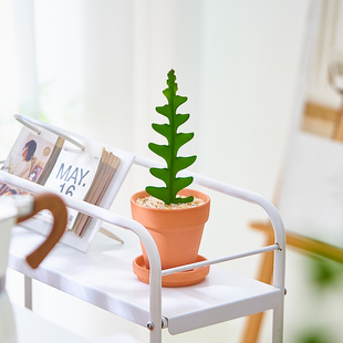 鱼骨令箭盆栽办公室桌面可爱创意多肉植物懒人好养四季工位摆件