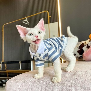 弹力网红同款 无毛猫衣服斯芬克斯德文衣服秋冬假领子POLO衫