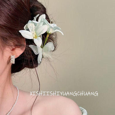 春季仙气甜美蝴蝶花侧边发夹