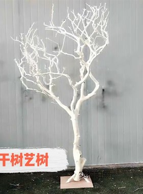 白色干树枝造景干枝树干许愿树枯树室内造型树枝干原木树枝装饰树
