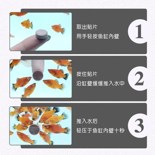 哈洁宝艳应红观赏鱼贴片饲料粘贴鱼粮小型鱼下沉底热带鱼食料鱼粮
