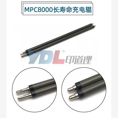 印道理适用理光C800251S