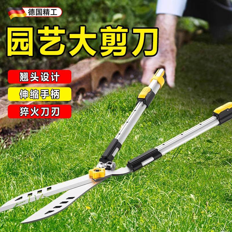 德国精工花剪园艺除草剪刀修枝剪花果树修剪草坪绿篱园林剪草神器