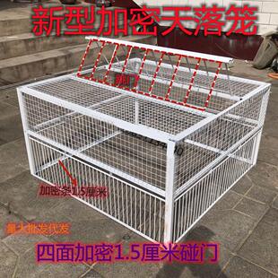 捕鸽神器只进不出天落笼逮鸽子全自动户外野外屋顶防逃脱养殖围网