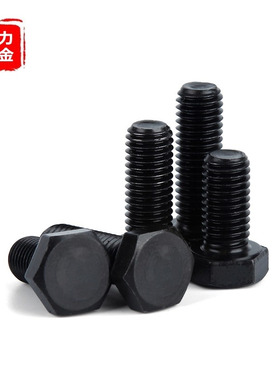 黑色304不锈钢外六角螺丝钉M10M12*50x60x70x80x90x150mm加长螺栓
