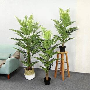 北欧风格 饰景 散尾葵夏威夷竹室内盆栽仿真植物绿植居家客厅落地装
