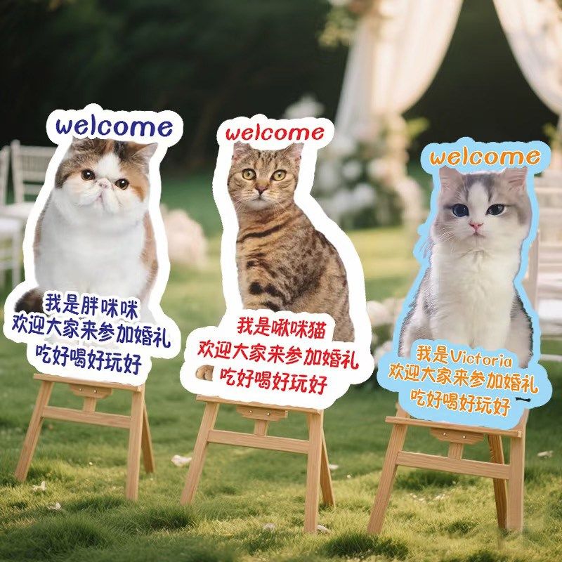 定做kt板宠物立牌生日猫咪狗狗订婚结婚迎宾牌手举牌照片指路牌,节庆用品/礼品,装扮布置套餐,淘宝优惠券,粉丝福利购,淘宝优惠卷