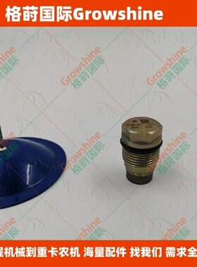 发动机QSB6.7减压阀5317174，3974093